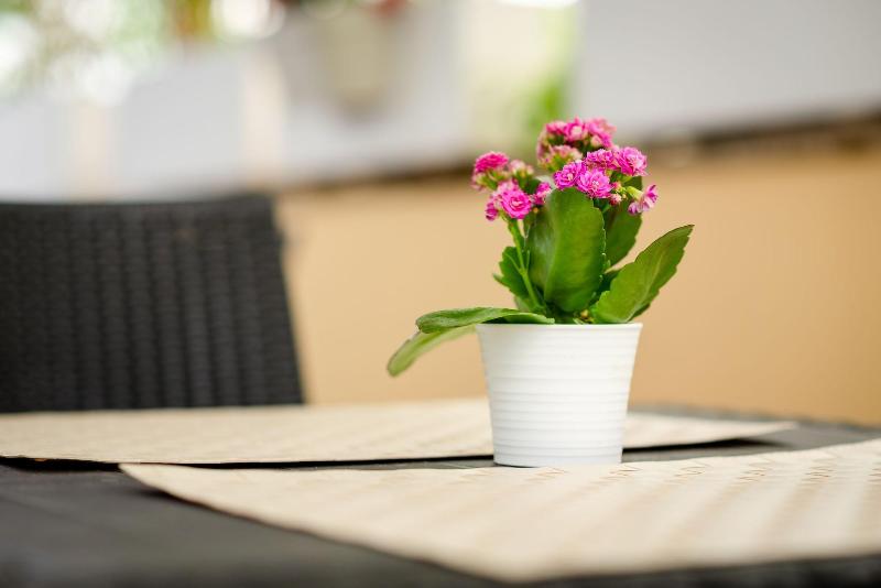 Brancaccio Luxury Suites image