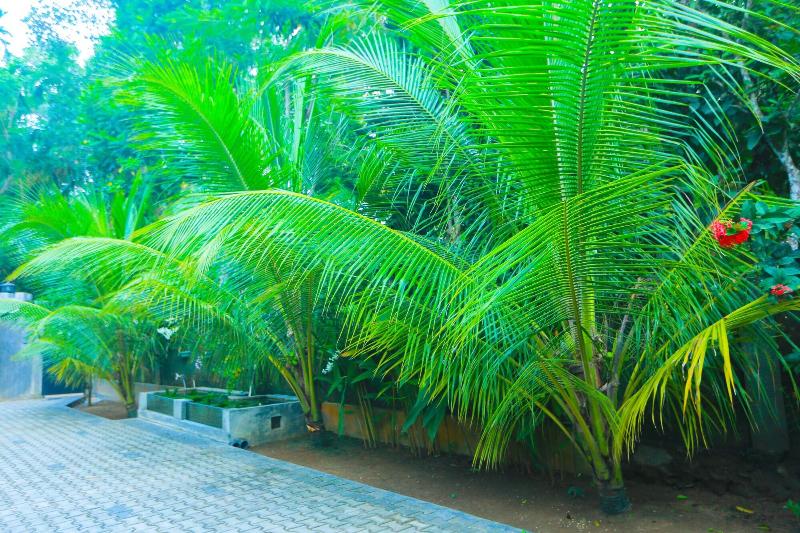 Sri Lankan Villa image