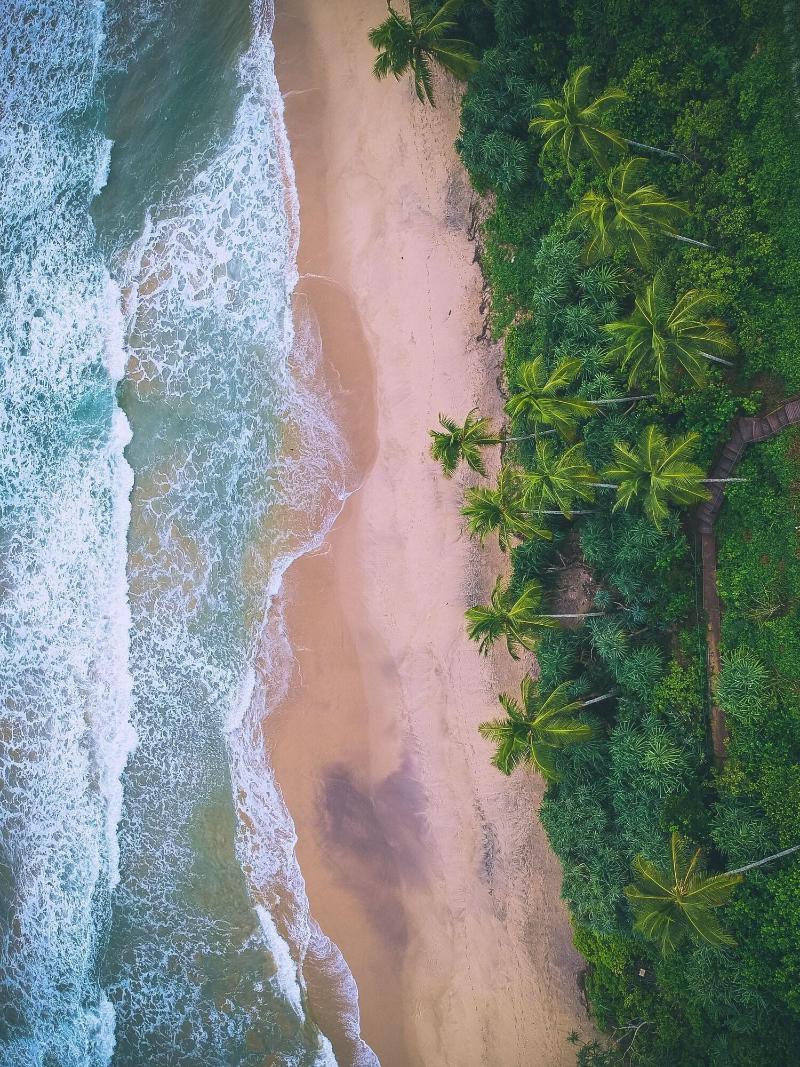Sri Lankan Villa image