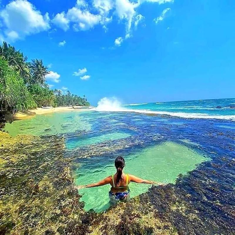Sri Lankan Villa image
