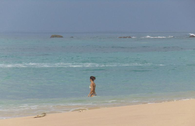 Sri Lankan Villa image