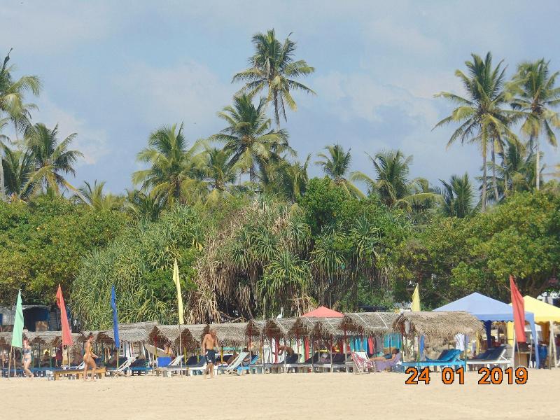 Sri Lankan Villa image