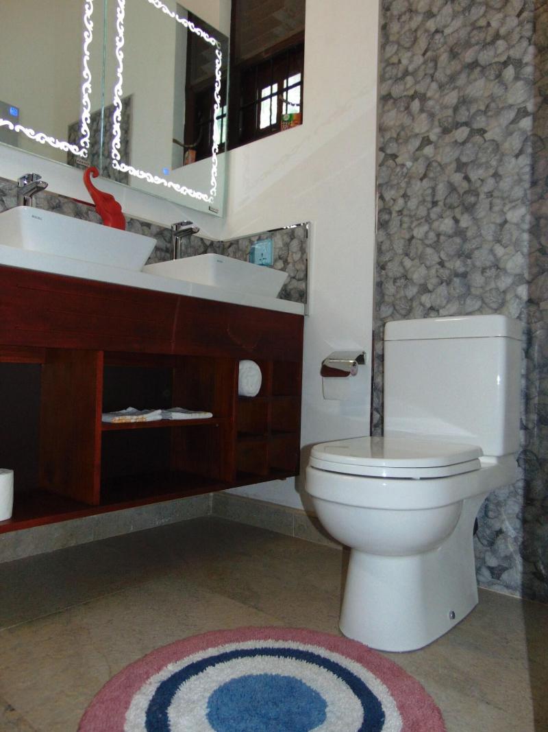 Sri Lankan Villa image