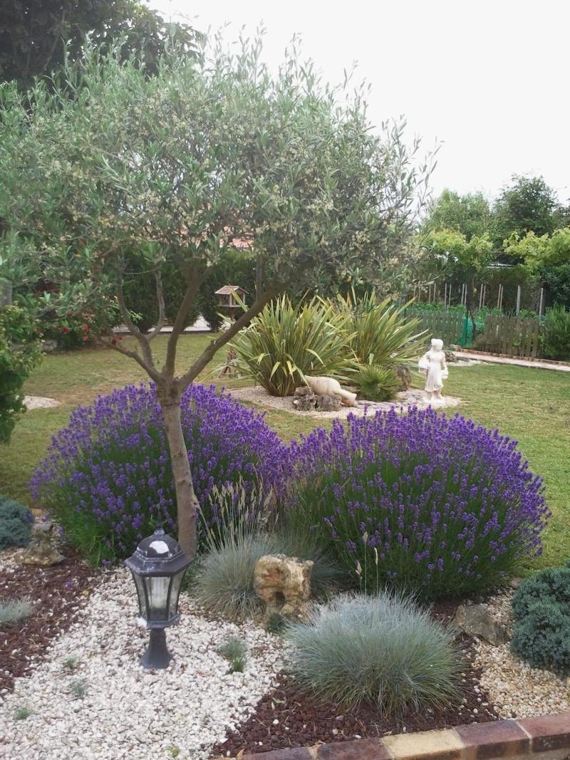 Eglantine Et Cha Vrefeuille image