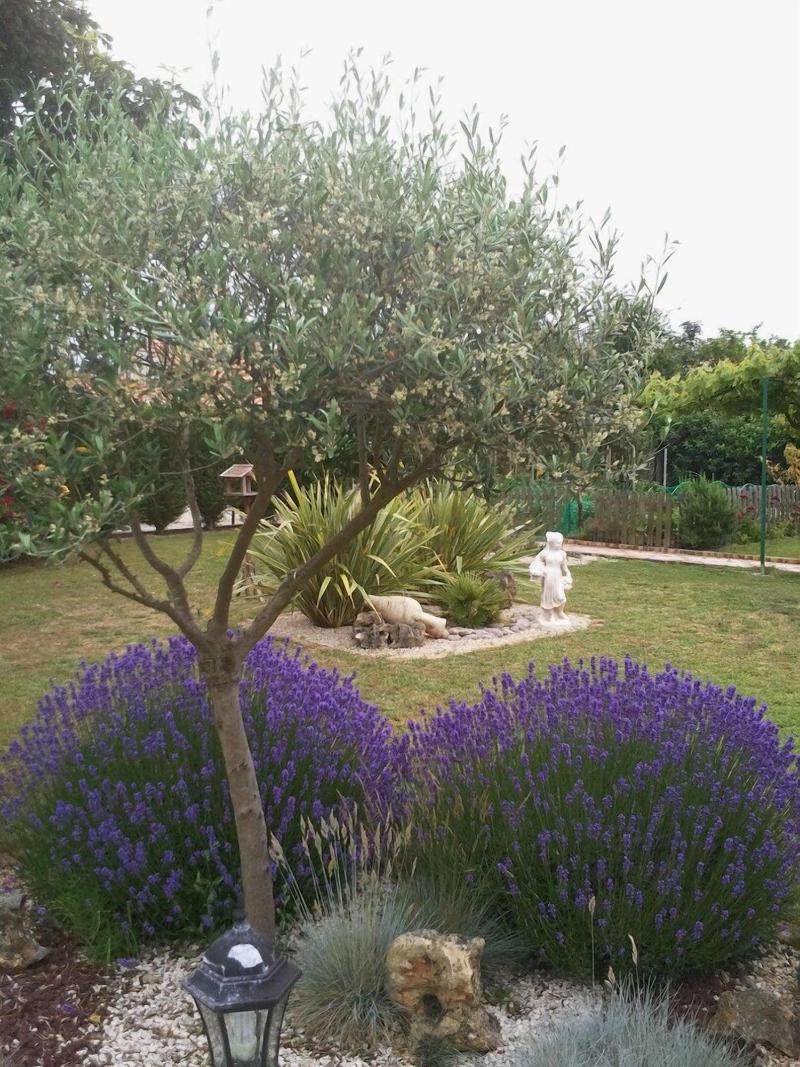 Eglantine Et Cha Vrefeuille image