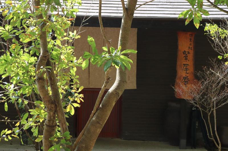 Shikinomori Shibian image