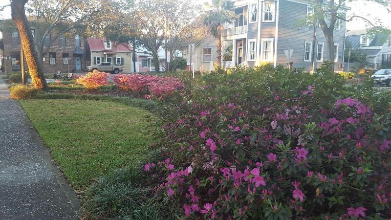 Green Palm Inn — general view