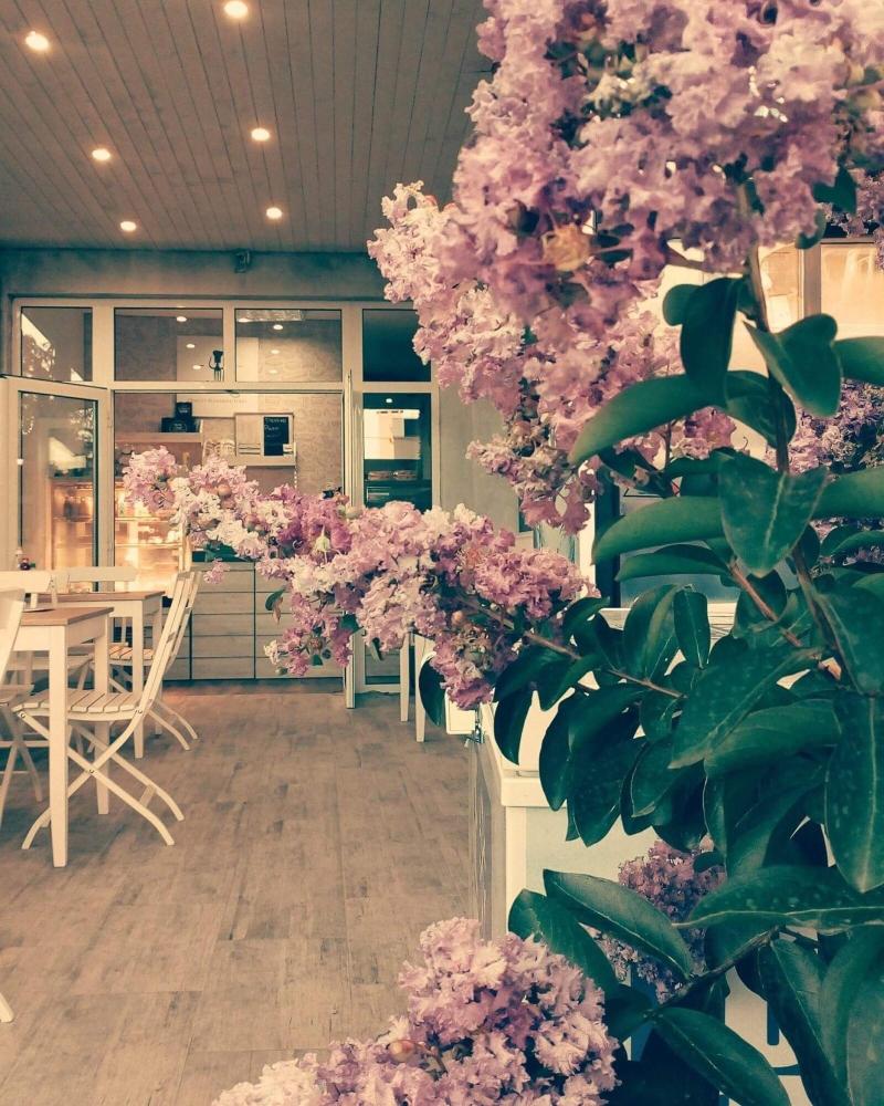 Dream House — photo 3