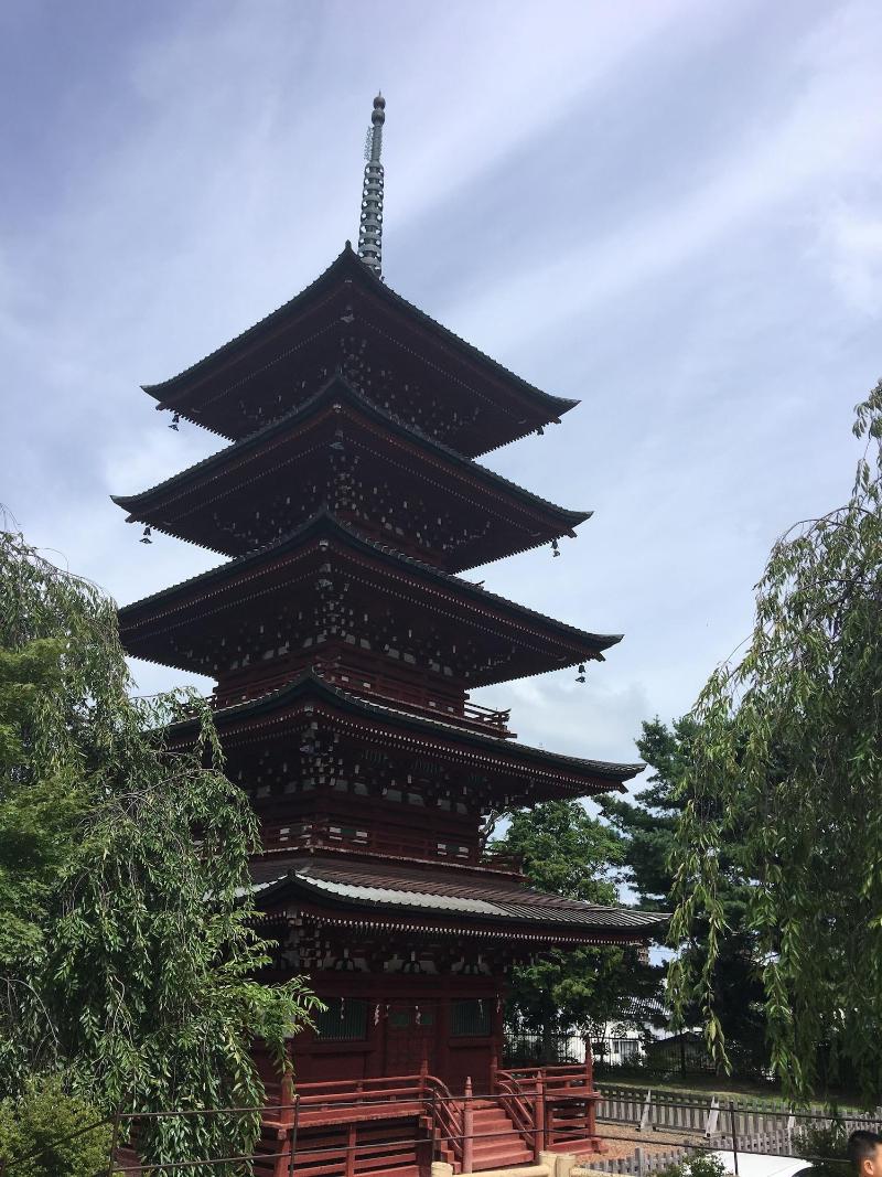 Guest House Chara — general view