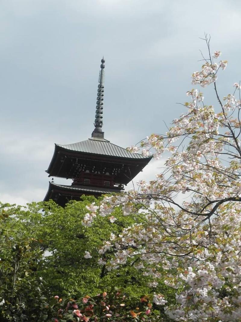 Guest House Chara — general view