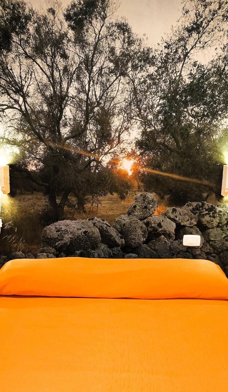 Lanzies Guesthouse image