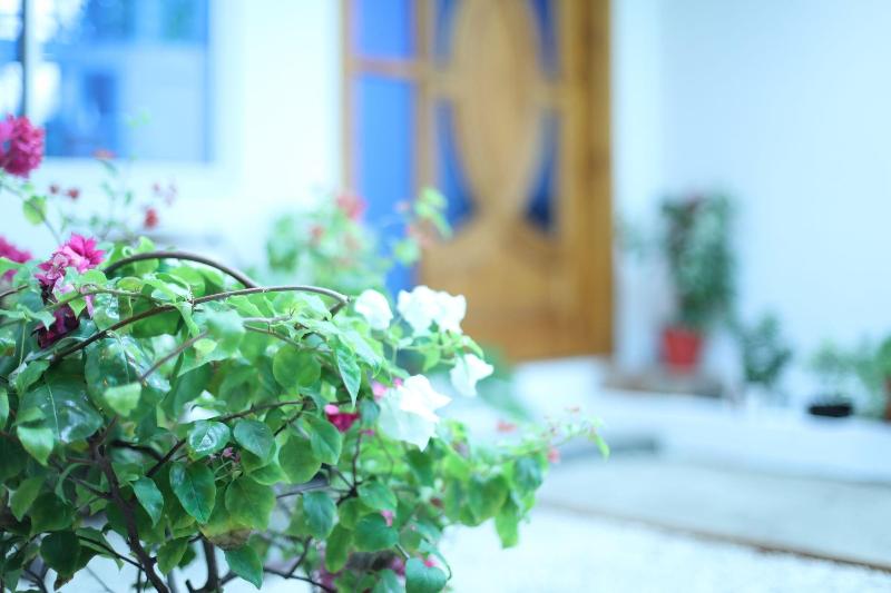 Moodhu Surf House image