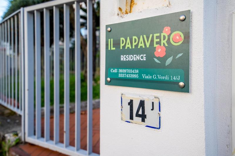 B B Il Papavero image
