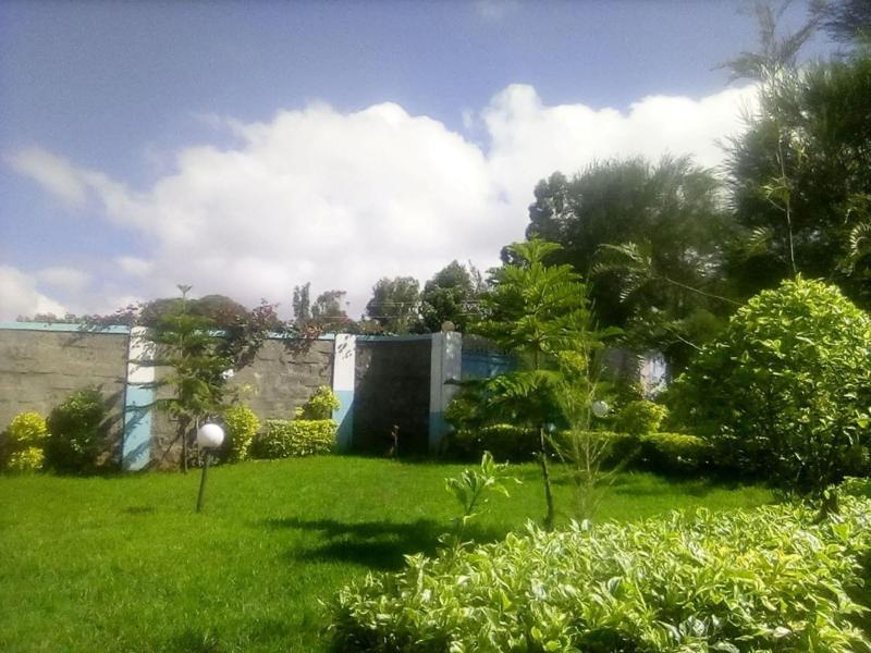 Wasafi Garden Spa Kibiko image