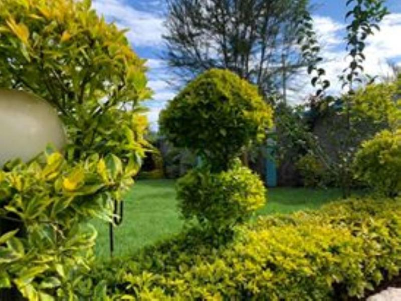 Wasafi Garden Spa Kibiko image