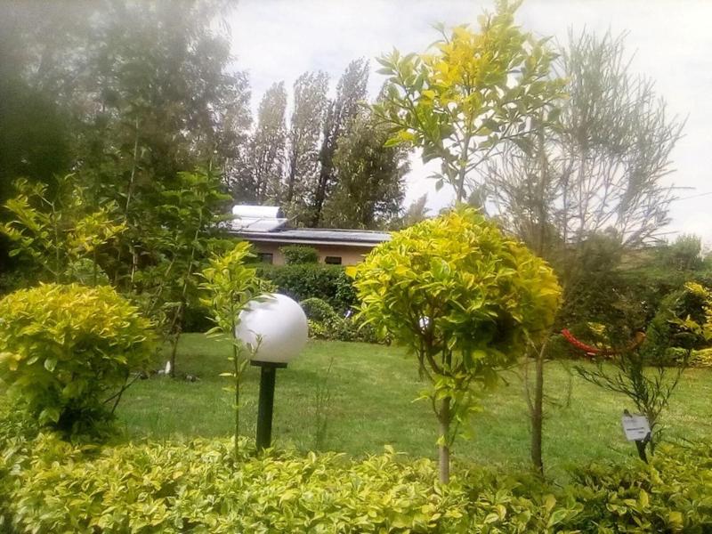 Wasafi Garden Spa Kibiko image