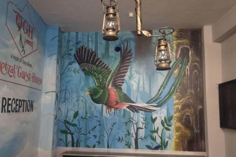 Quetzel Guest House — photo 4