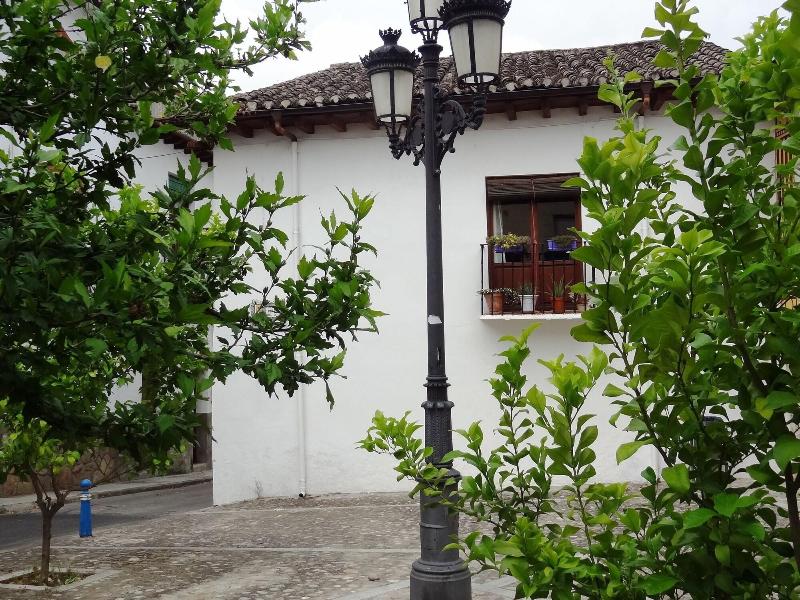 Hostal La Solana image