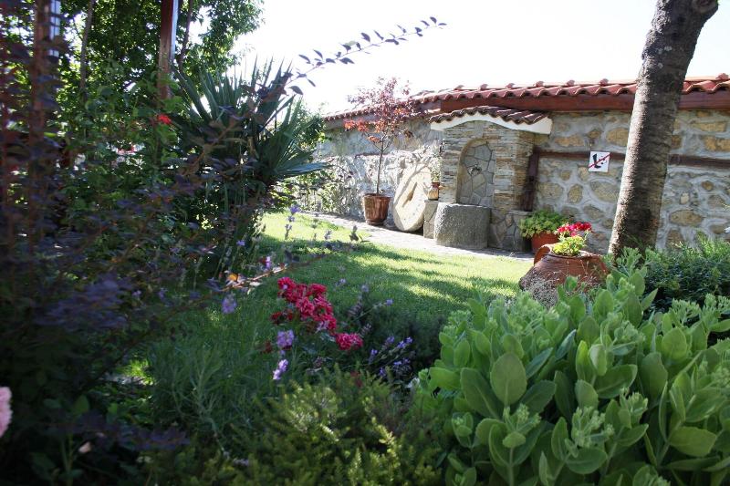 Iliikova House image