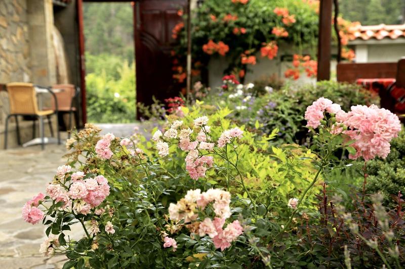 Iliikova House image