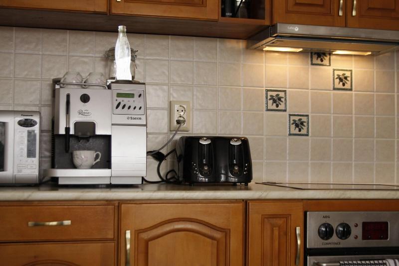 Iliikova House image