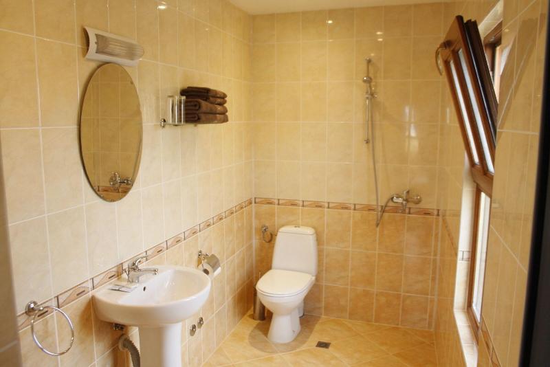 Iliikova House image