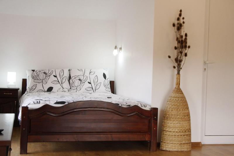 Iliikova House image