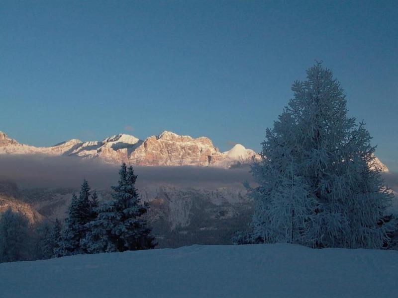 Alpine Hotel Ciasa Lara image
