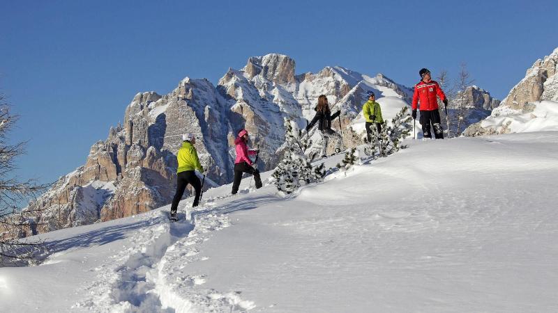Alpine Hotel Ciasa Lara image