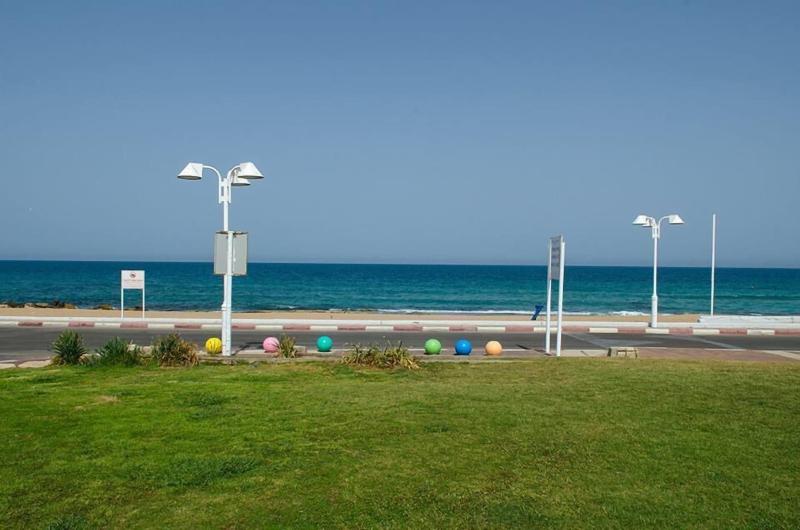 Palm On The Beach — main photo