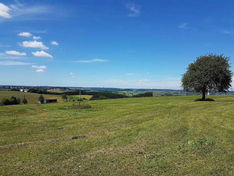Eifel Dream Schneifelhaus — photo 4