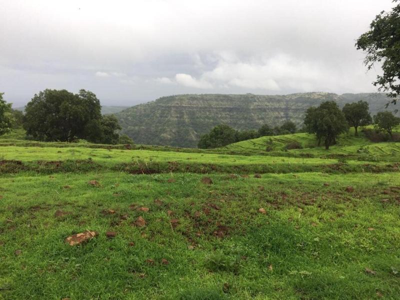 Hotel Harshawardhan image