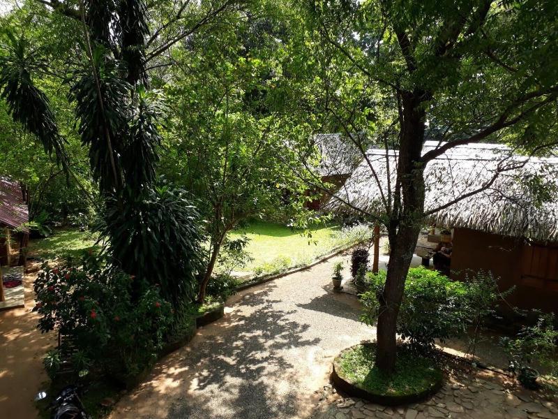 Private Organic House