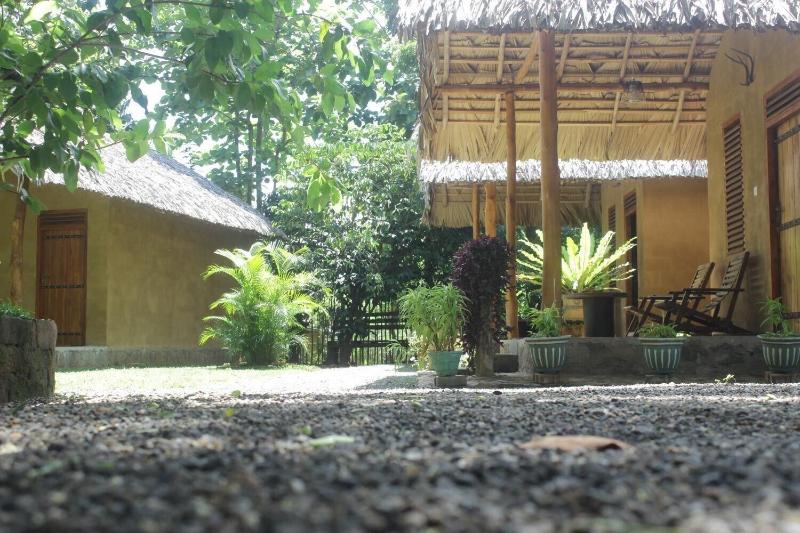 Private Organic House