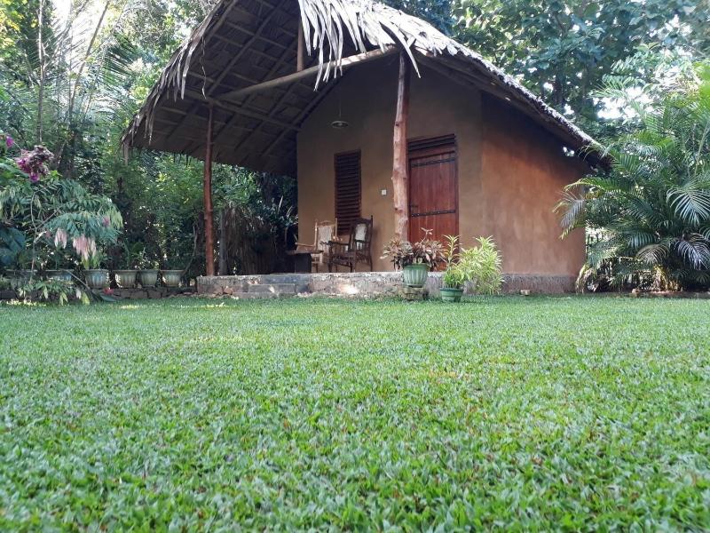 Private Organic House