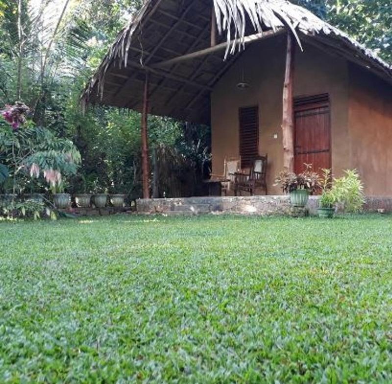 Private Organic House gallery photo 28