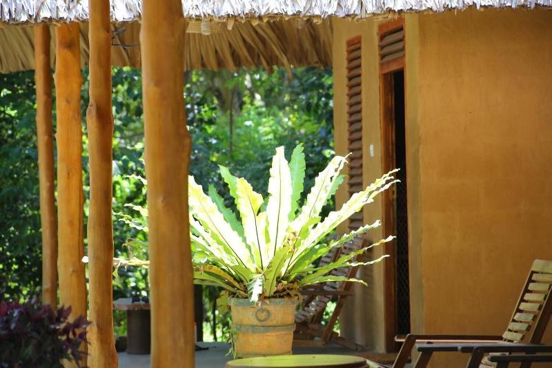 Private Organic House gallery photo 30