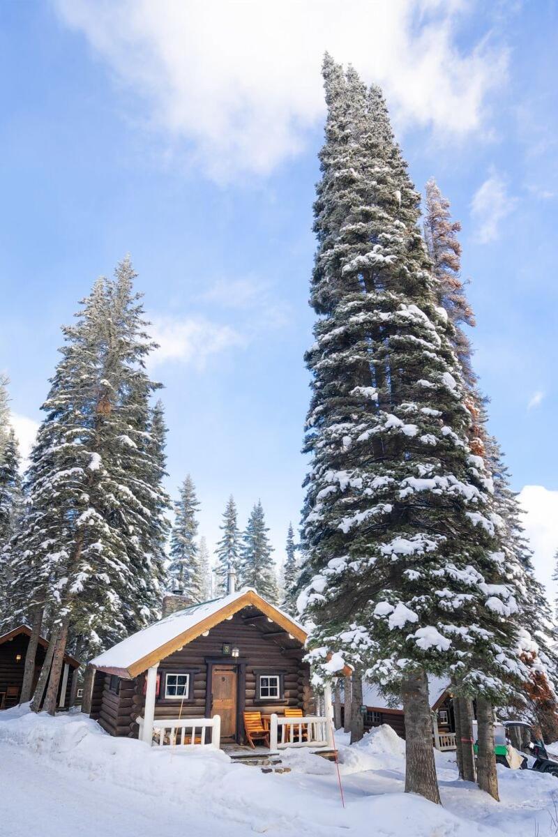 Storm Mountain Lodge Cabins Dining image