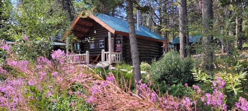 Storm Mountain Lodge Cabins Dining image