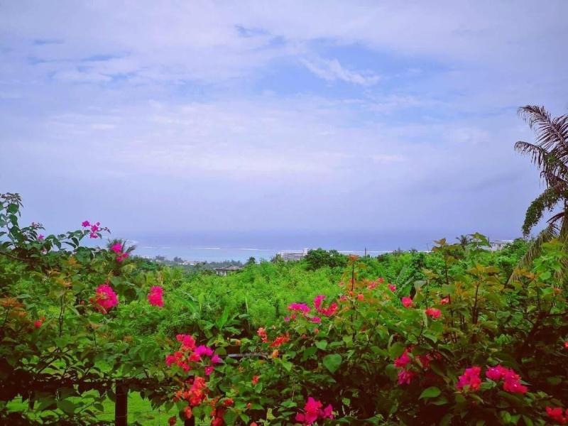 Saipan Skyline Designers Hotel image