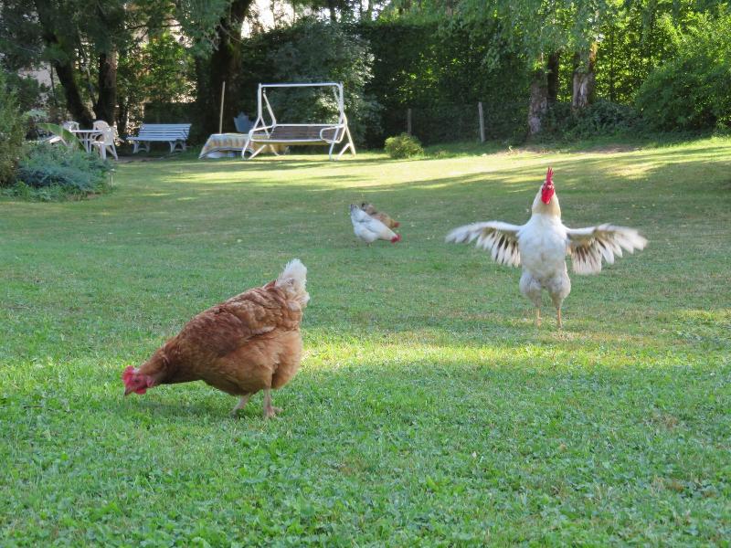 Les Jardins D Armance image