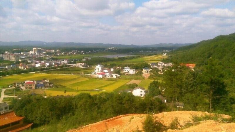 Julians Country Inn — photo 2