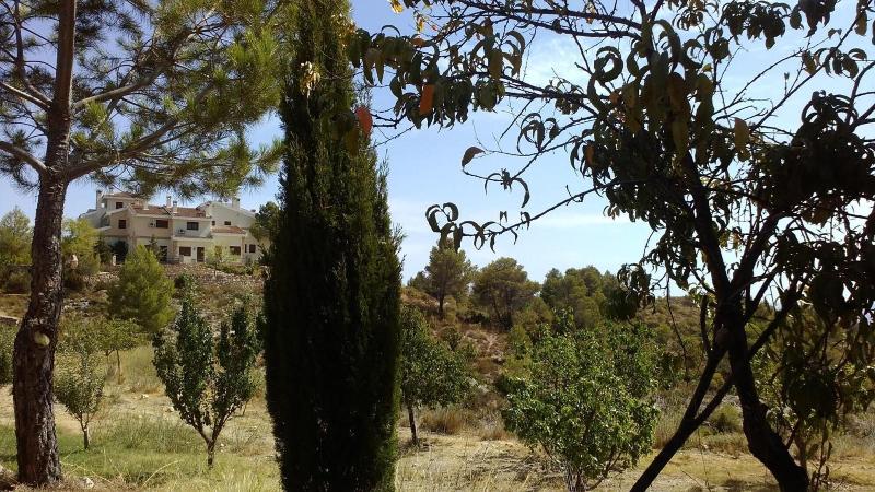 Hotel La Alberquilla — photo 3