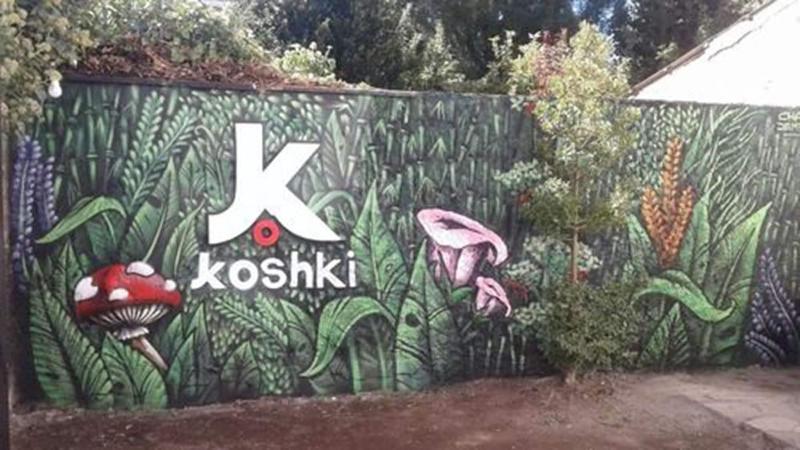 Hostel Kosh — main photo