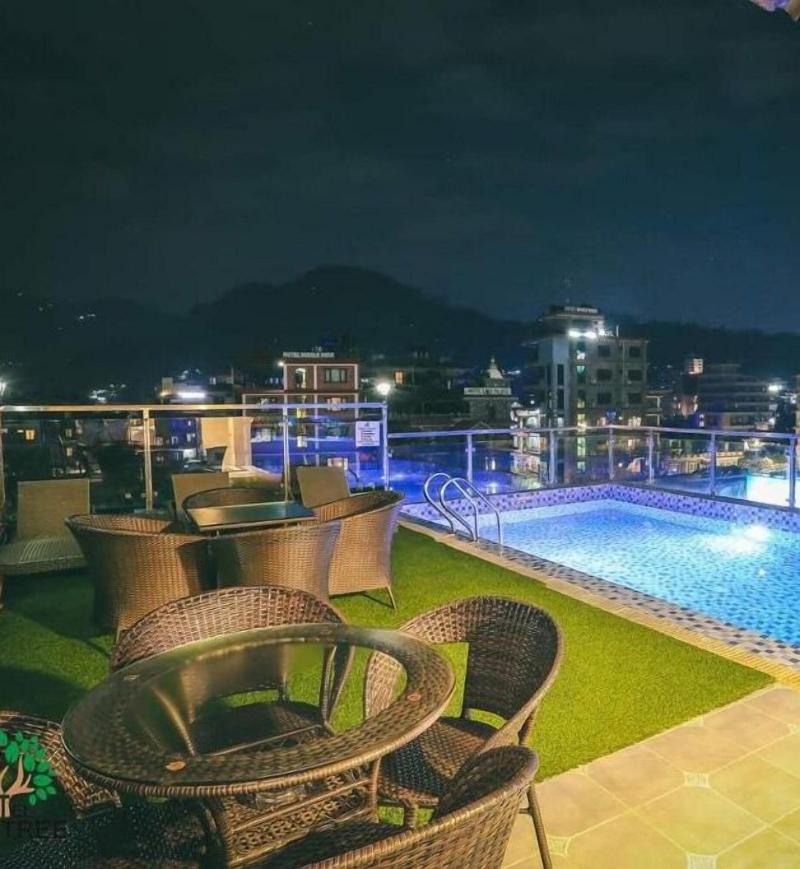 Hotel Eco Tree image