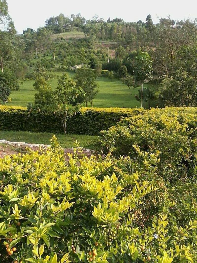 Katabile Country Resort — photo 4