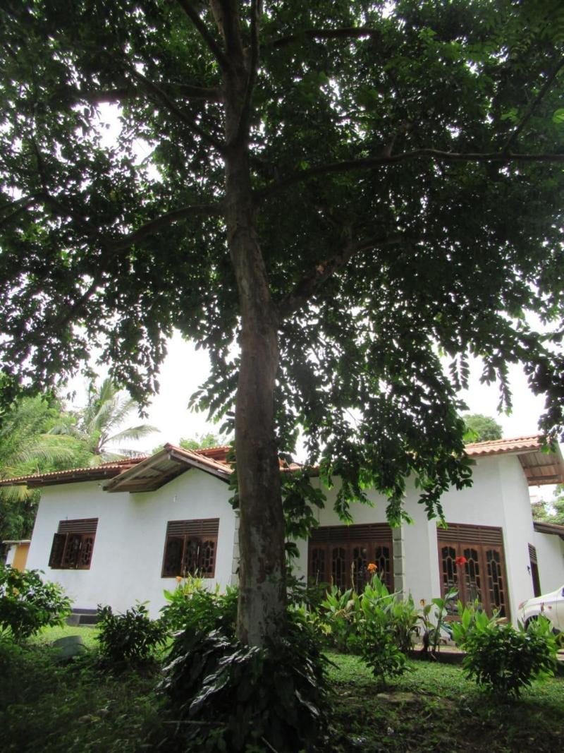 Kalindu Residence image