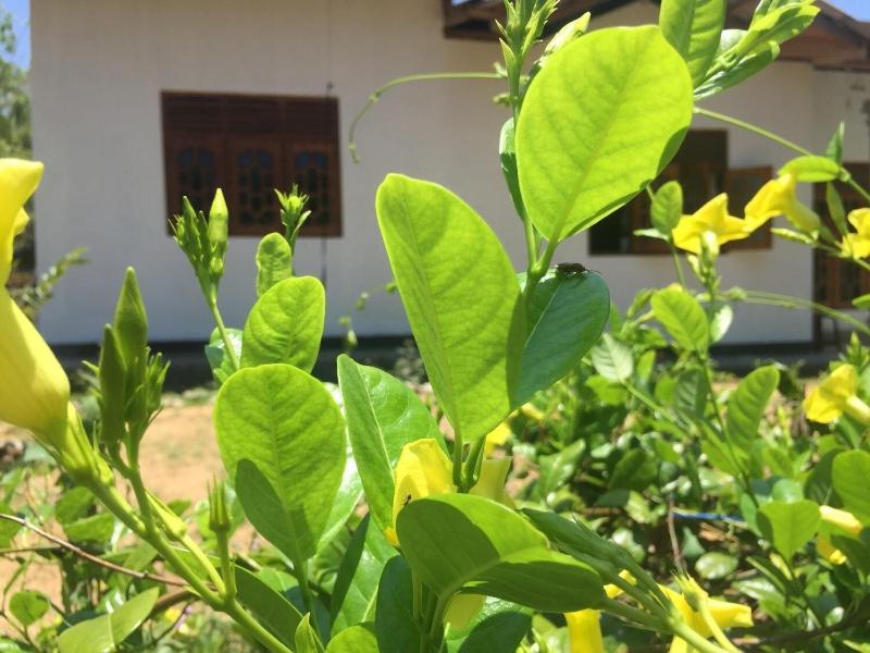Kalindu Residence image