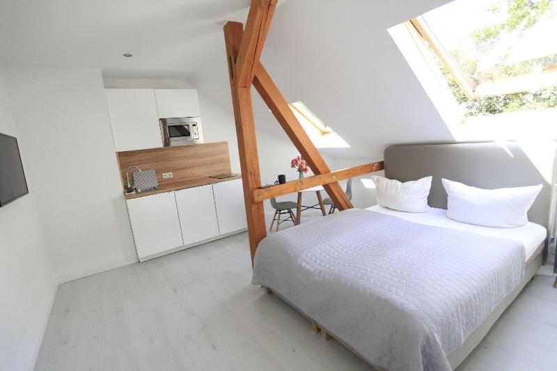 Zollikof Aparts Sauna Studioapartments image