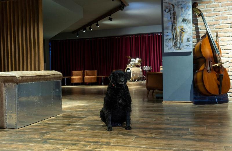 Jazz Hotel image